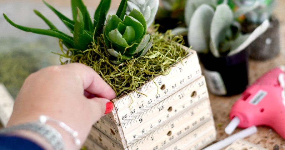hand holding edge of ruler planter holding succulents, one of the best teacher gift ideas